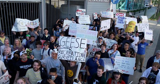 Sunday on 60 Minutes: Birds Aren't Real