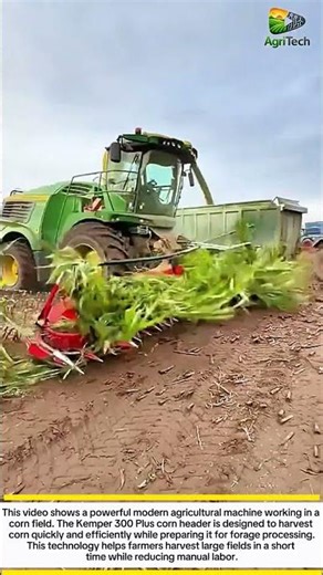Amazing Modern Corn Harvester Machine | Kemper 300 Plus Corn Header Working in Field