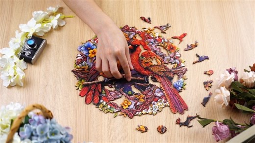 Watch Cardinal wooden puzzle on Amazon Live