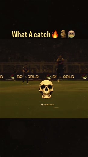 What a catch nice catch #youtubeshorts #explorepage #trending #shorts #viralreels #youtube d#cricket