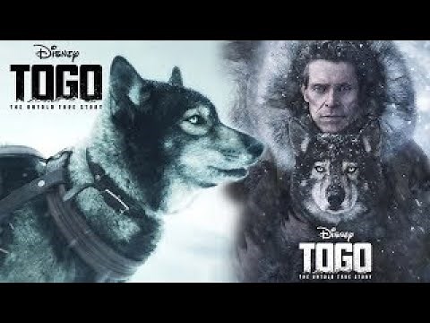 Togo 2019 Movie | Togo Dog Sled Opening Scene | Good Dog Scene