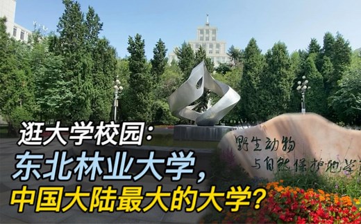 逛大学校园第44集：逛东北林业大学，详细讲解