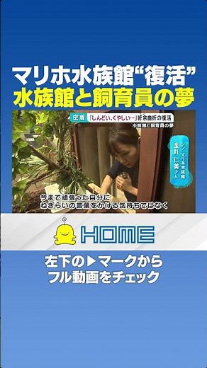 【再スタート】マリホ水族館“復活”｜水族館と飼育員の夢 #Shorts