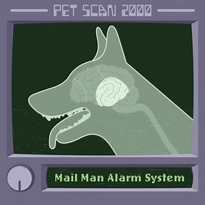 52K views · 52 reactions | What goes on in the canine brain? 易 Watch to see what we think a dog is always thinking 樂 about! What did we miss?? #EvolvePets #ChooseEvolve #CanineMind | Evolve Pet Food | Facebook