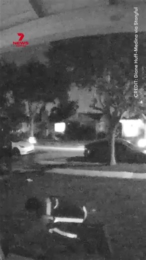 Home security system catches Amazon worker stealing cat