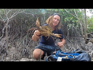 MUDCRAB Catch and Cook! My simple chilly mudcrab recipe!