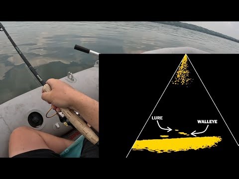 Eagle Eye 9-ing Walleye