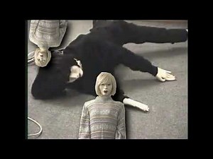tara the android ytpmv