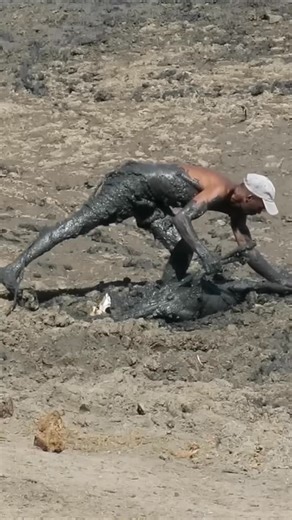 Rescue impala #animals #wildlife #fyp ##wildanimals | Hype Hive