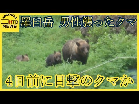 知床半島・羅臼岳 男性を襲ったクマは４日前に登山道で目撃された「人を避けない」クマと同じ可能性高い