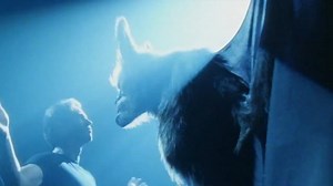 'BATMAN FOREVER: THE SCHUMACHER CUT' se proyectará en Los Ángeles el 29 de mayo. La proyección será el corte exacto @ThatKevinSmith proyectado en 2023. | DC - Latinoamérica - Fan Account