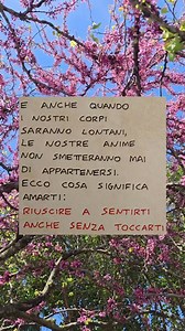 146K views · 1.6K reactions | Riuscire a sentirti anche senza...