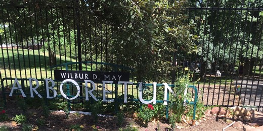 A frightfully rare bloom: as a corpse flower is growing fast in Reno