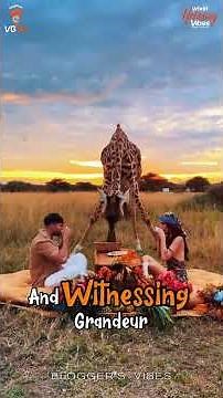 An African Honeymoon Safari 🐘💍 | A Fantasy Realized ✨ | World Holiday Vibes