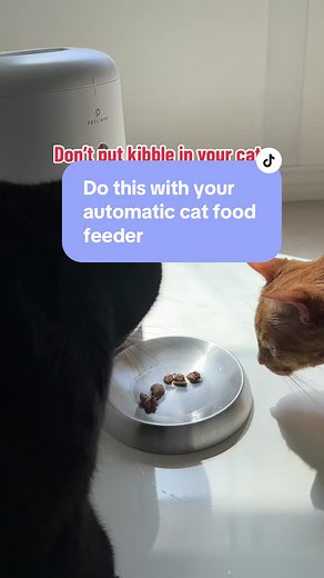 Try this hack to level up your cats automatic feeder and ditch the dry cat food. Use a freeze dried raw food, then put water in the bowl so when it goes off it hits the water and your cats get a moisture rich food. #catsoftiktok #cattok #catheath #catnutrition #catfood #catfoodrecommendation #catfoodtips #automaticcatfeeder