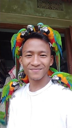 🦜 Parrot Party Filter Tutorial 🤩🔥 #Shorts#tutorial #parrot