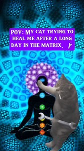 not sure if we can salvage this energy. 😂🤣 #fyp #trending #funny | Ashe Tree