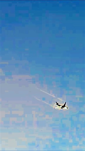 Sichuan Airlines A330 fuel dumping moment at the beautiful skies #ttail #flyback #tiny #justplanes