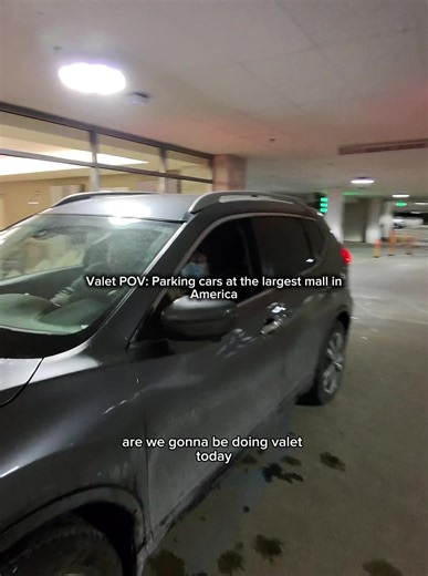 Valeting Daily at Mall of America: Day 151 Experience