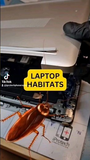 Cockroaches in the laptop! #cockroach #laptoprepair