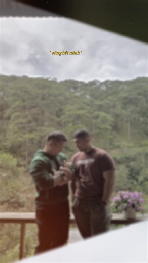 Serene Moments with a Cat in Nature's Embrace