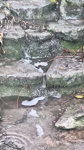 Stop sometimes and enjoy the simple things in life.