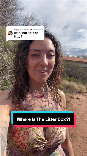 Optimal Litter Box Solution for Van Life