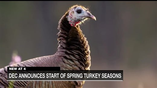 Youth turkey hunting season getting underway