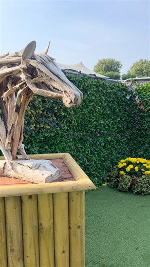 1.1K views · 44 reactions | Day one of The Dublin Horse Show...