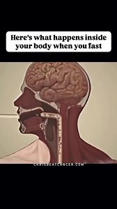 Water fasting is one of the most powerful (and free!) ways to restore your body. I started using this ancient tool nearly 20 years ago, and it’s been a game changer. During a fast, your body shifts from digesting food to deep repair mode—clearing out toxins, recycling damaged cells, and restoring balance. The benefits? More energy, mental clarity, weight loss, hormone balance, immune support, and more! Want three expert interviews on fasting? Comment FASTING, and I’ll send them to you! 📹: Limit