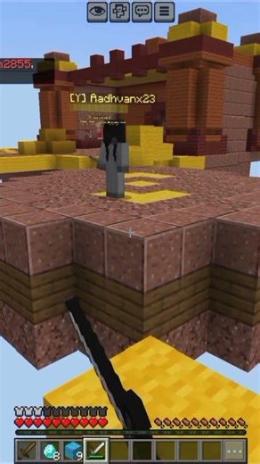 Wild Card Entry.💀 #minecraft