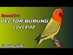 membuat vector burung lovebird