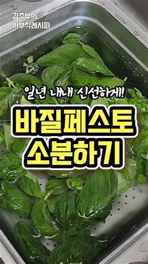 How to Make Basil Pesto🌿 How to Freeze It #BasilPesto