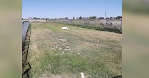 PAWS Of Chinook is raising money to improve fenced dog run