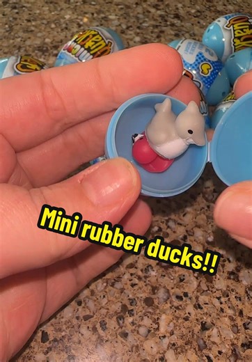 Discover Tiny Miniature Rubber Ducks!