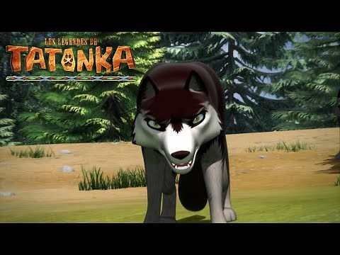 🐺 Les Légendes de Tatonka | Nouvelle Compilation | 1H | En Français