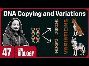 DNA Copying and Variations