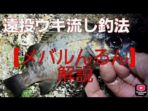 メバル狙いの遠投ウキ流し釣り(メバルんるん釣法)解説 【ゴロタ浜から大メバル狙い】