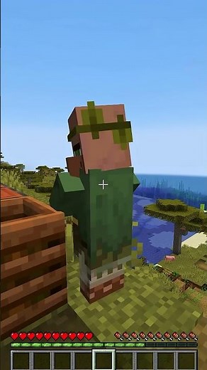 5 Diferencias ABERRANTES entre JAVA Y BEDROCK - 3