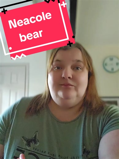 Neacole Bear: Discover Adorable New Building Block Designs