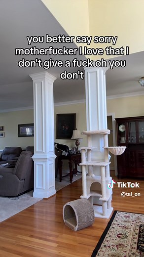 Goofy was not having it with Donald Duck!!!! #fyp #comedy #epic #goofy #mickeymouse #savetiktok #donaldduck