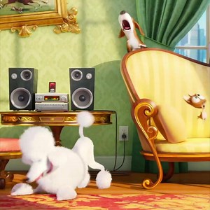 69K views · 645 reactions | Ever wonder what your pets do when you're not at home? | The Secret Life Of Pets | Facebook