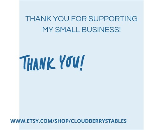 Horse Anatomy Parts of the Horse Worksheet Horse Camp Activity Equestrian Worksheet Horse Activities Horse Body Parts Printable Activity - Etsy