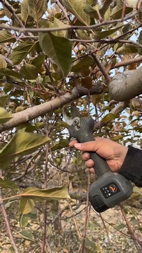 AI Innovations: Exploring Smart Bots and Technology