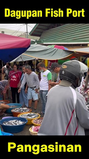 7K views · 52 reactions | Dagupan Fish Port | Biggest Fish Market of Pangasinan | PH DOT NET | Facebook