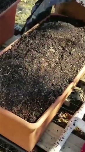 EarthBox Cover Tip That Changes Everything