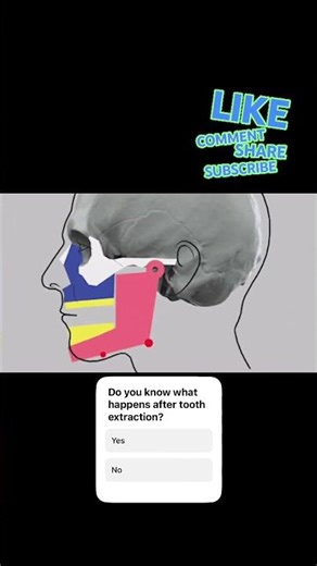 The Truth Nobody Tells You After Tooth Removal