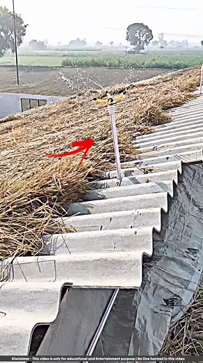 2.2M views · 10K reactions | Murgi fram ko aise Thanda karte hai  #reelsfb #murgi #farming #cool #waterfall | viral hub | Facebook