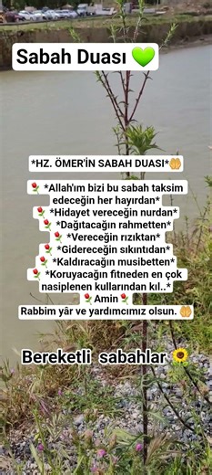 Sabah Duası #shortvideo #amin #sabahduasi #islamicvideo #dinivideolar #rızık #bereket #tevekkül