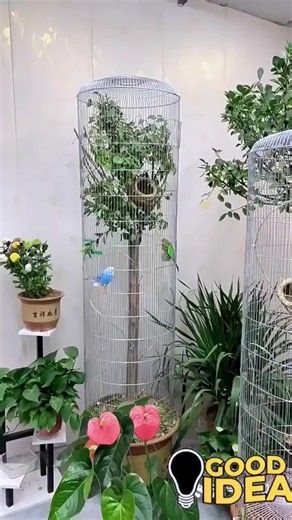 Beautiful Bird Cage Decoration Ideas